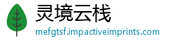 灵境云栈
